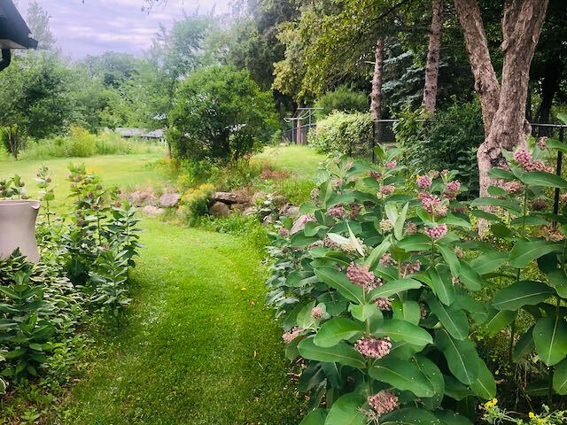 Building Photo - 2521 Williams Dr