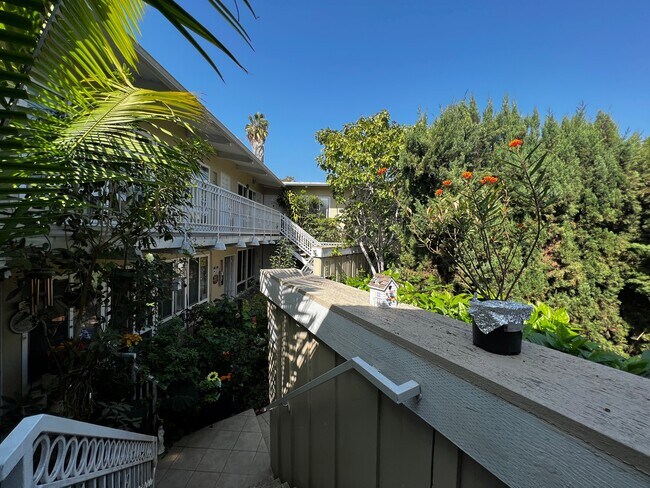 Courtyard - 243 1/2 S Church Ln