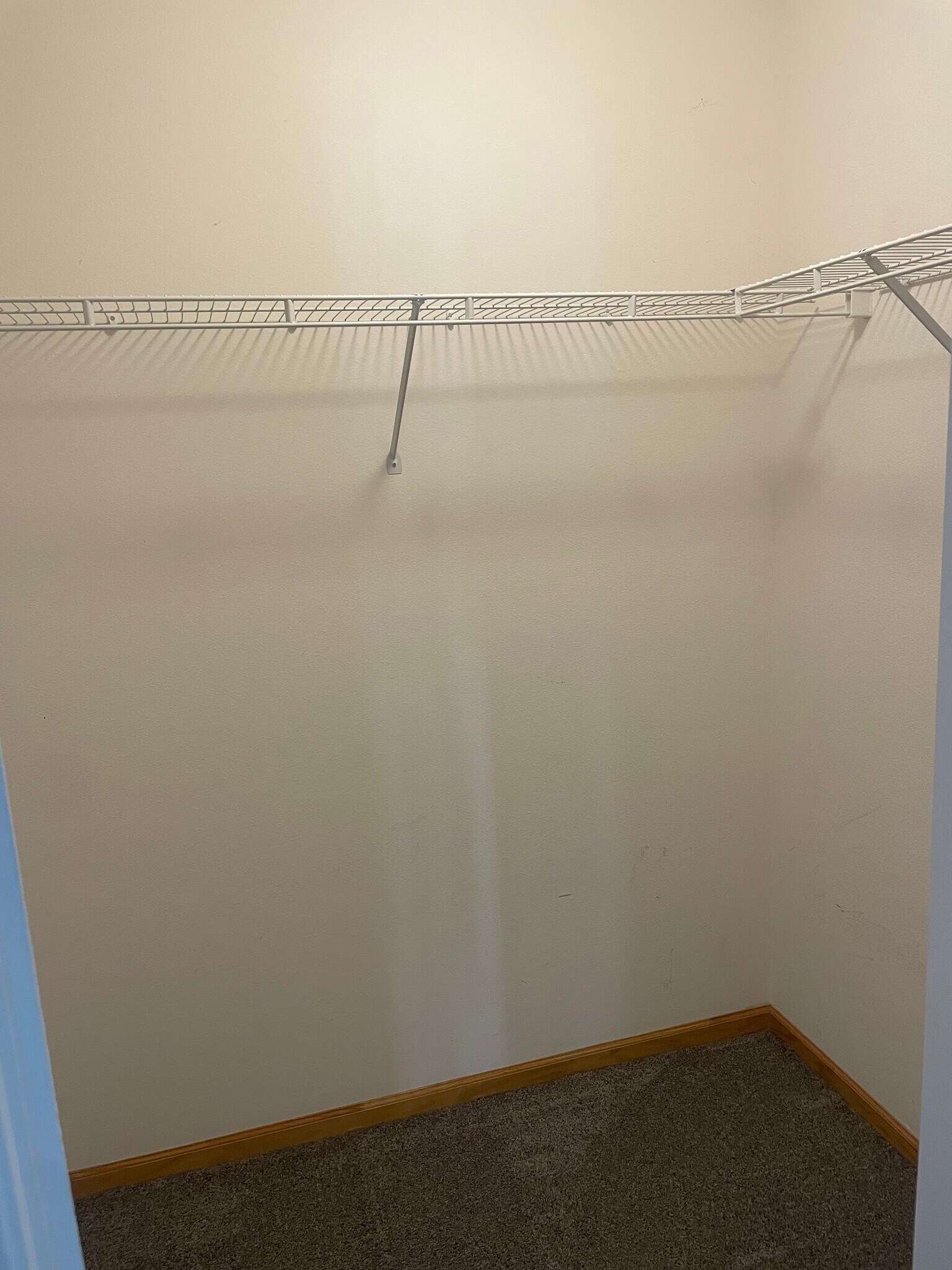 1st BR walk-in closet - 7425 Wistful Vista Dr