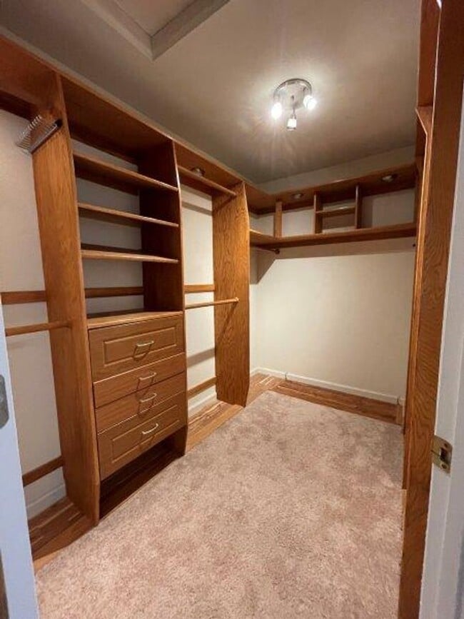 Building Photo - Large Open 4 Bedroom