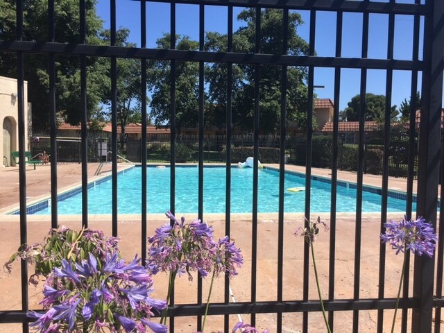 Pool Area - 1517 Grandon Ave