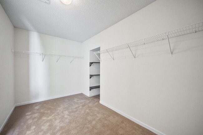 Building Photo - 1152 Stepping Stone Ln