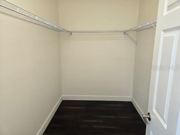 Building Photo - 922 Centaury Dr