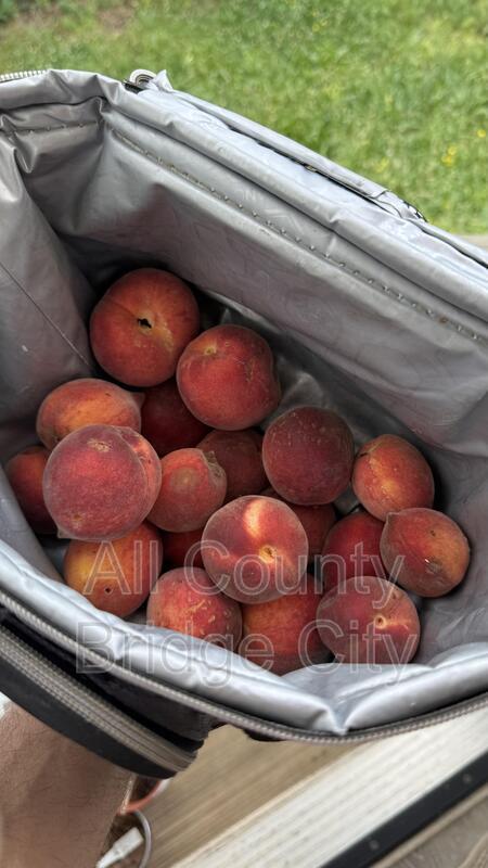 Building Photo - 23 Traction St