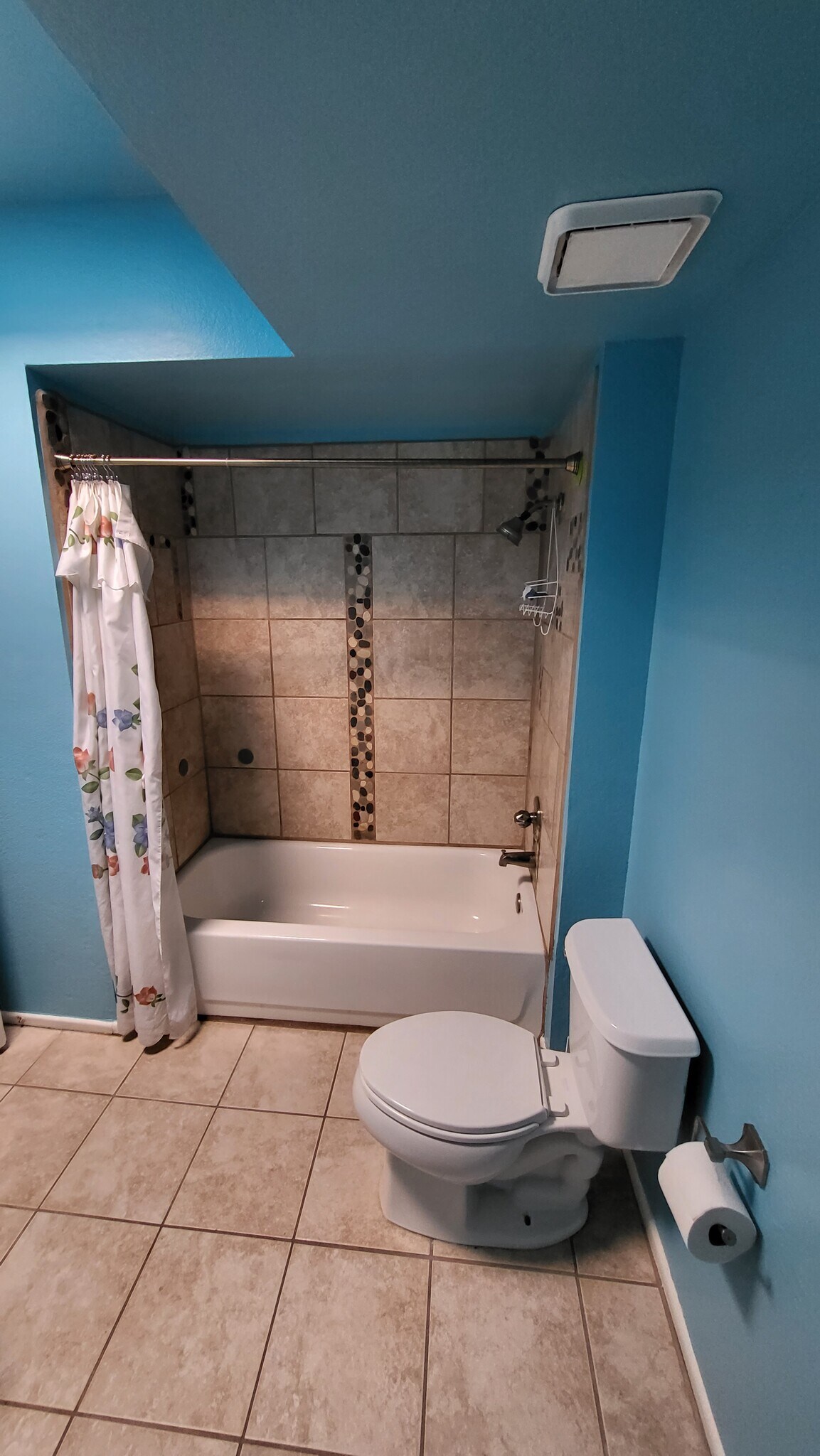Guest Bathroom - 235 E Scheibe Way