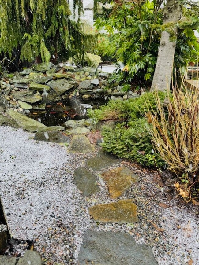 Building Photo - Burlington 3 Bed 2 Bath Home in quiet neighborhood