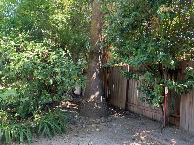 Building Photo - Adorable well maintained 3 bedroom 2 bath ...