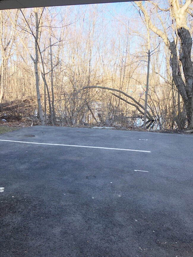 Building Photo - Available December 1st! 1 BED 1 BATH in prime Quincy location!