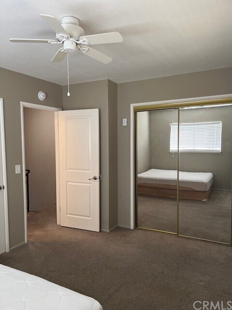 Building Photo - 978 Lucerne Ln