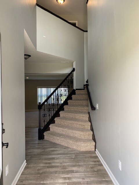 Building Photo - 4830 Halsley Ct