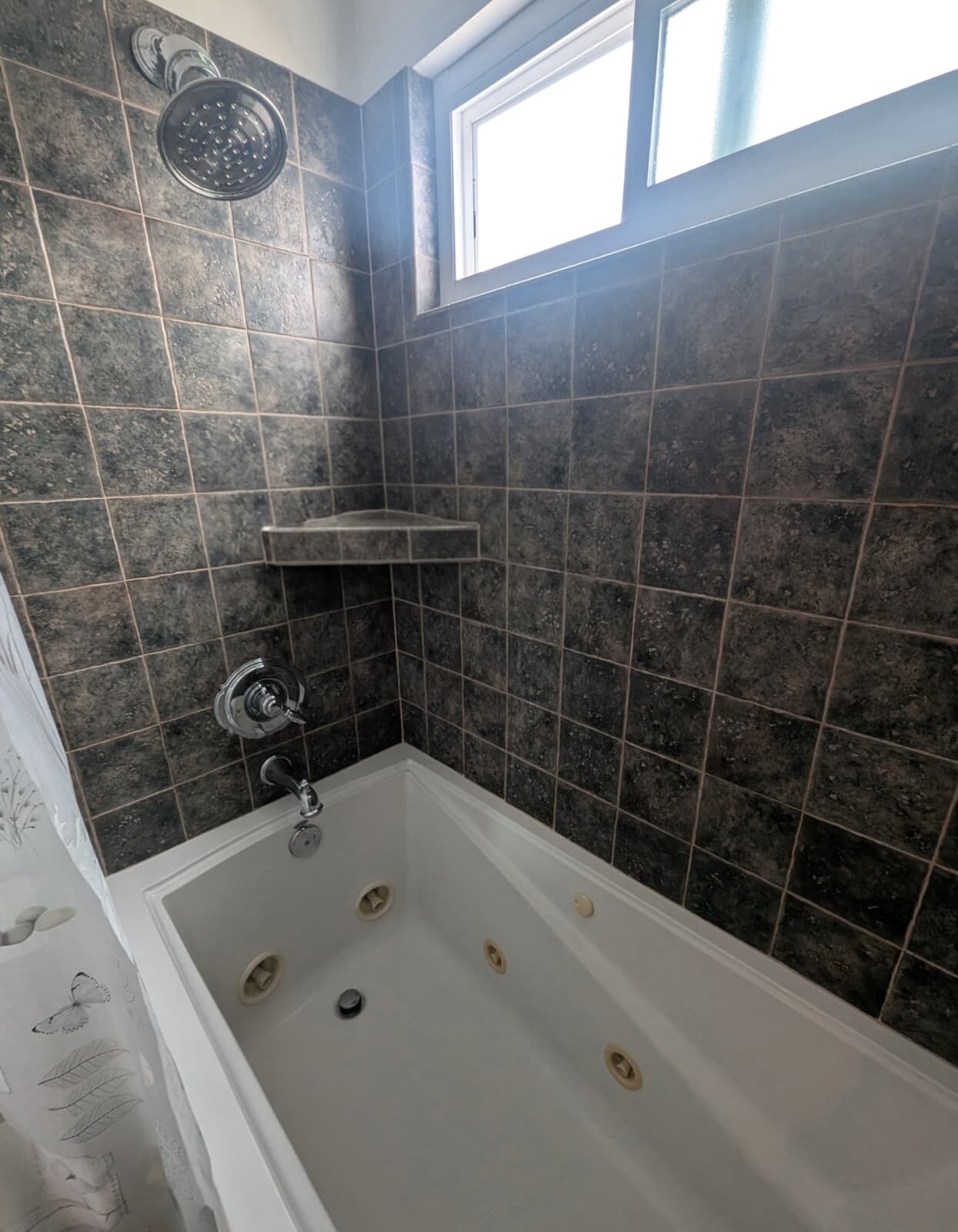 Building Photo - 3259 Bramson Pl