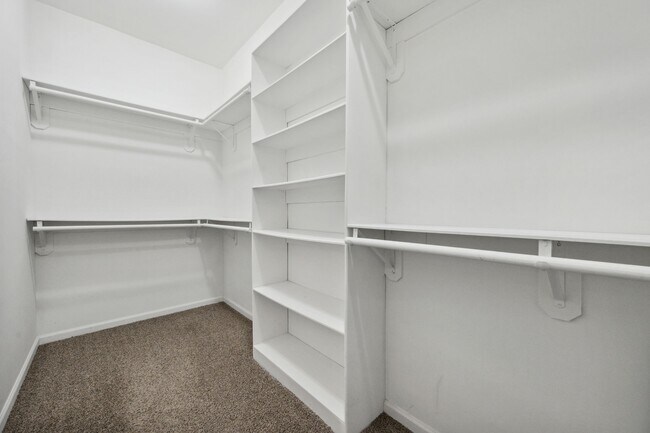 Building Photo - 3202 Breezy Pines Ct
