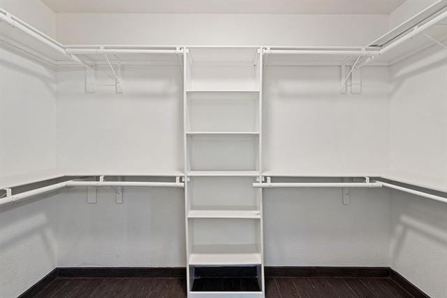 Building Photo - 2101 Country Dell Dr