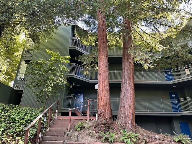 Building Photo - Bright Furnished 1BD/1BA Near UC Berkeley – Quiet, Updated & Move-In Ready