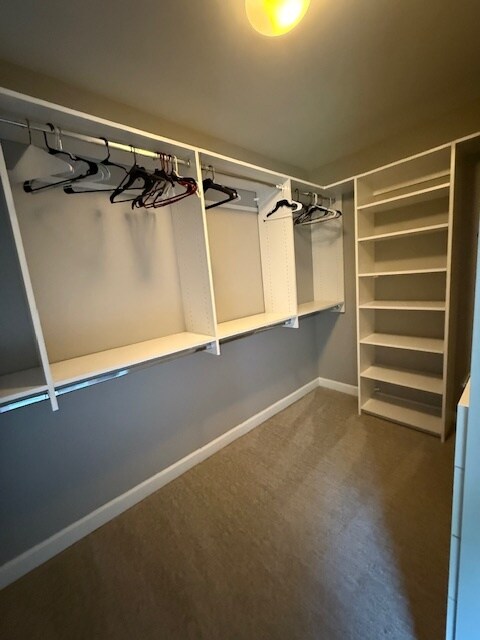 Building Photo - 3003 Honor Ct