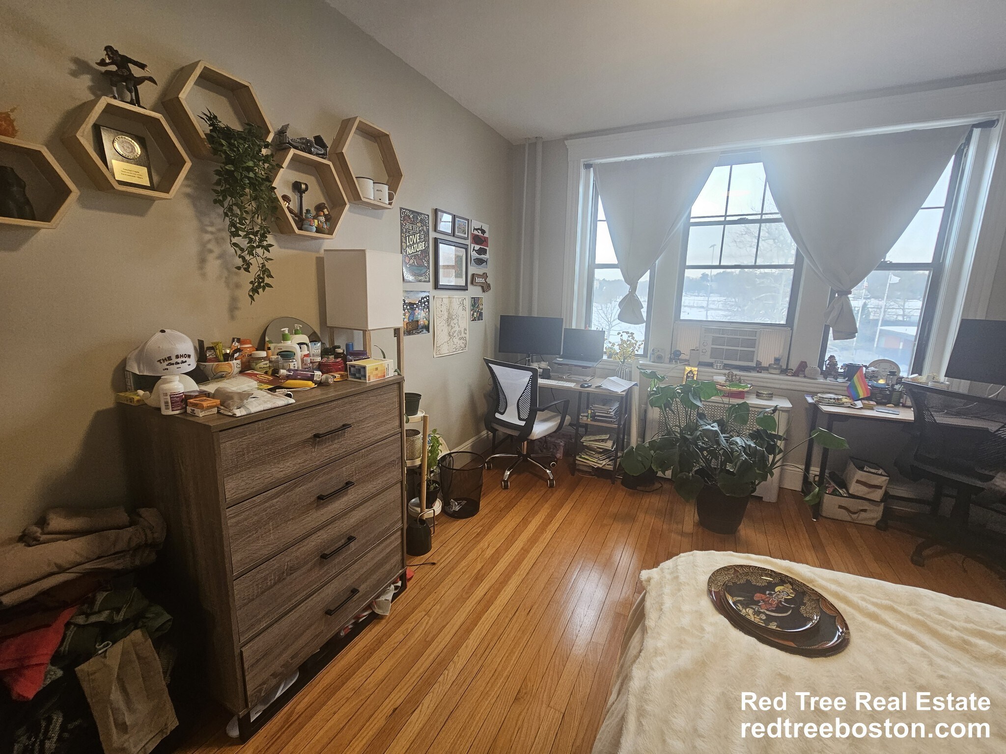 Building Photo - 370 Chestnut Hill Ave