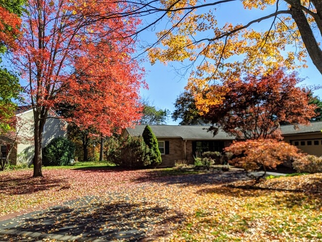 Building Photo - 18 Cricklewood Cir