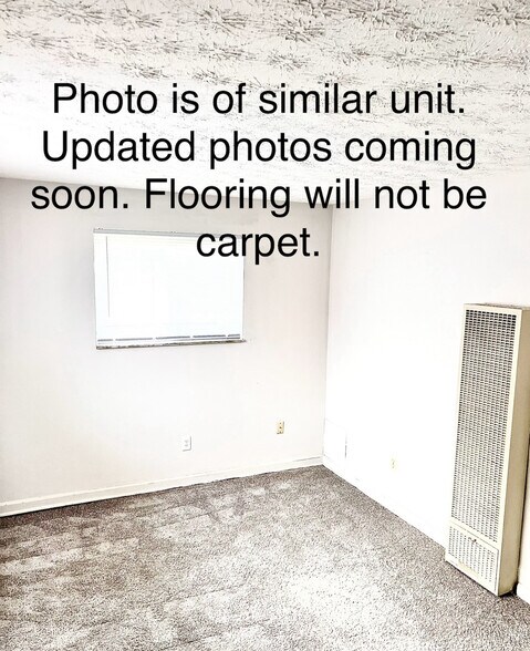 Bedroom will not have carpet. Updated photo coming soon. - 1971 Vaughn St