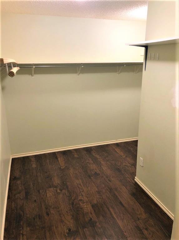 Building Photo - 3627 Bass Loop