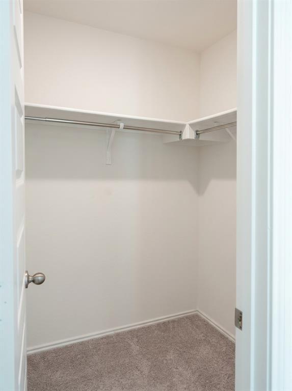 Building Photo - 4653 Alfano Loop