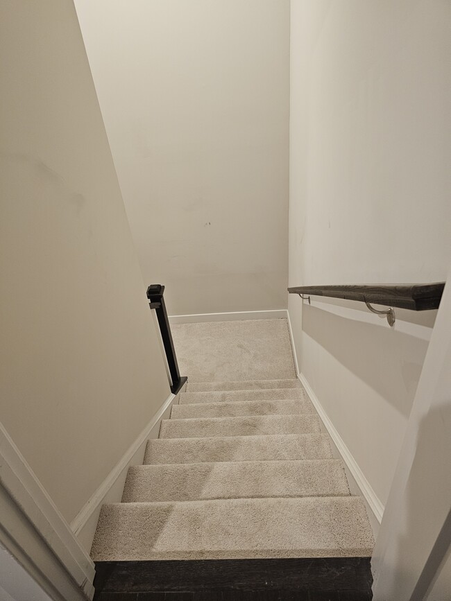 stairs to basement - 5041 Montview Way