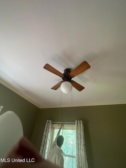 Building Photo - 3564 Cowan Pl