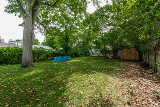 Backyard with shed - 208 22nd St