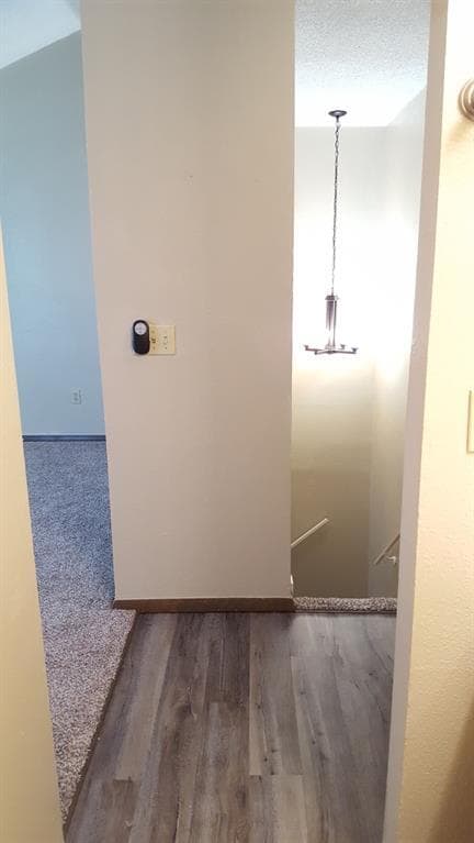 Building Photo - 822 Cardinal Creek Blvd