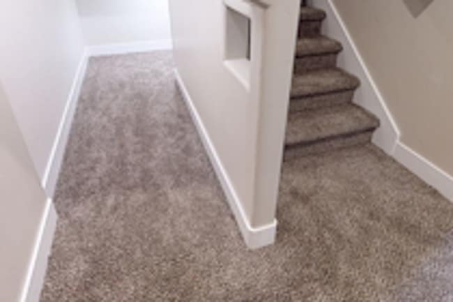Building Photo - Female Housing Available in Saratoga Springs - Regular Room & Basement Suite!