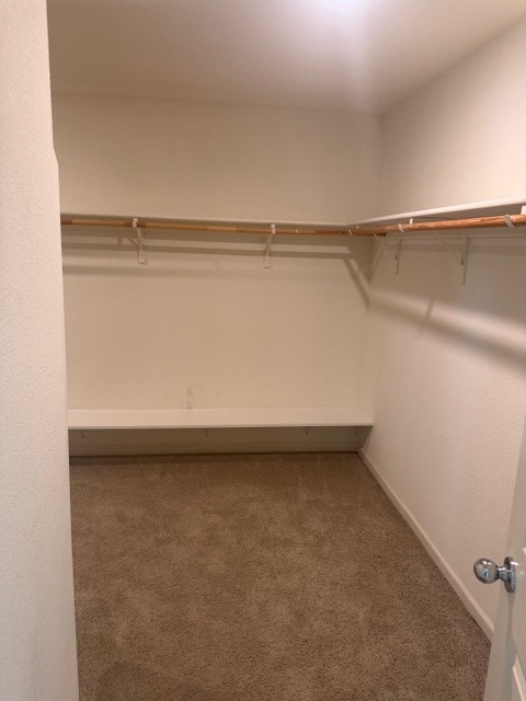 Building Photo - 3714 Zeppelin Ln