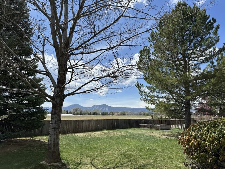 Backyard - 6048 Chelsea Manor Ct