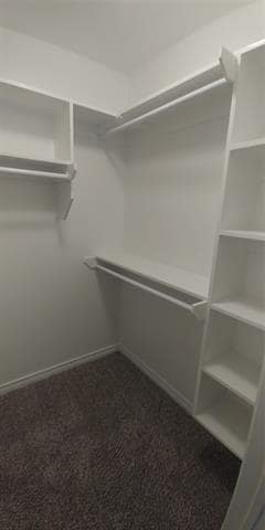 Building Photo - 406 N Cleveland Ave