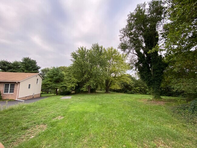 large side yard - 104 E Poplar St