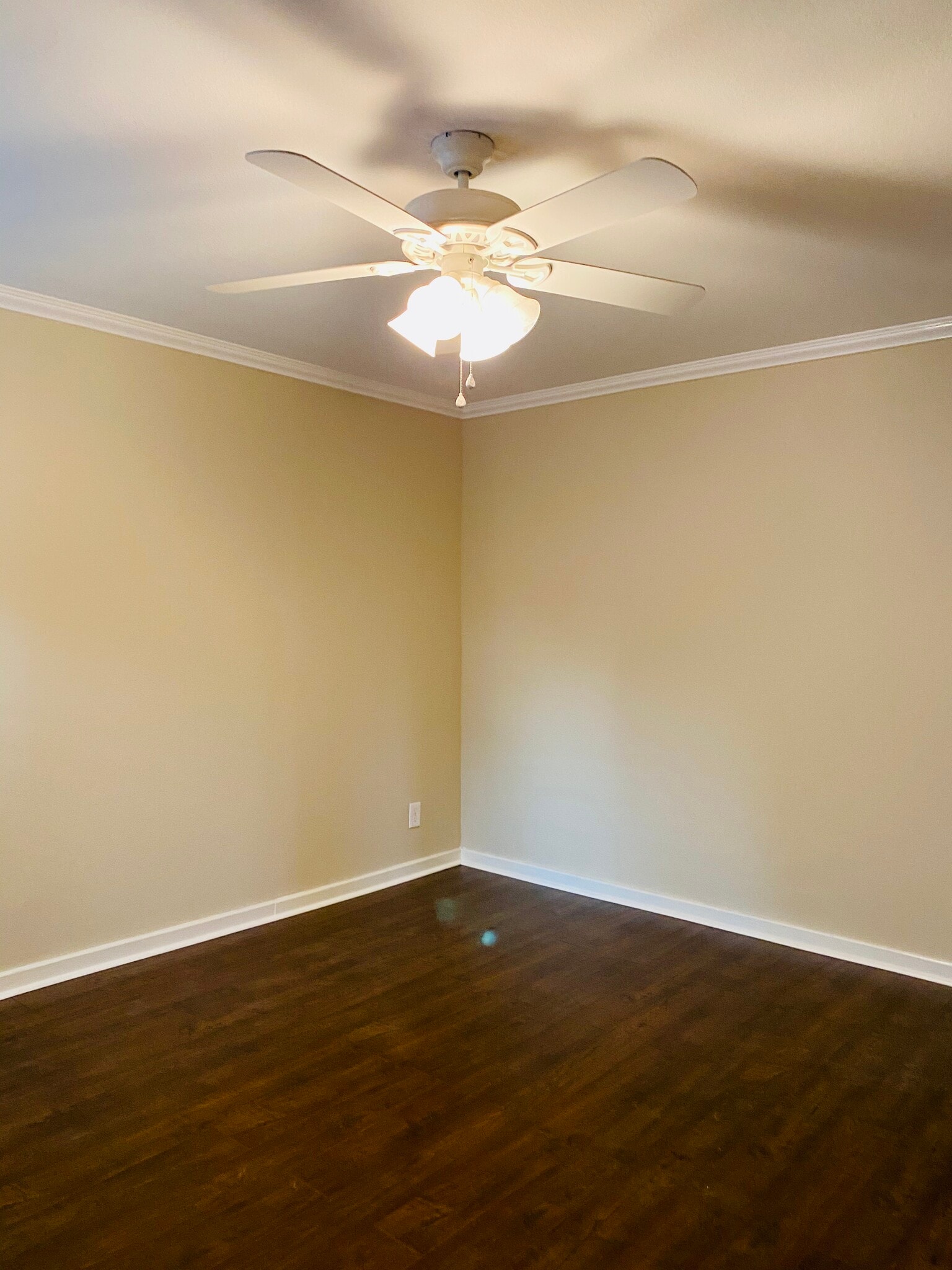 Bedroom 3 - 67 Windsor Ln