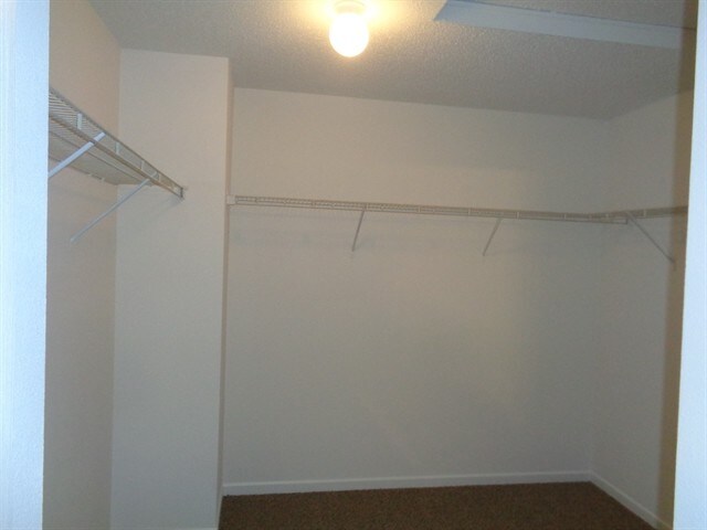 Building Photo - 626 Hickory Pine Dr