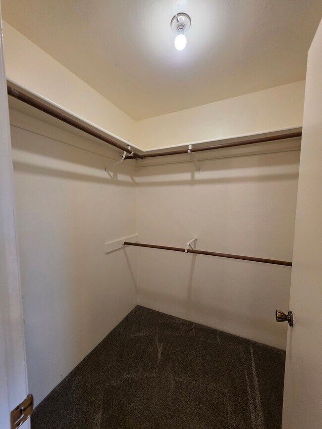 Building Photo - 3824 Christmas Tree Ln