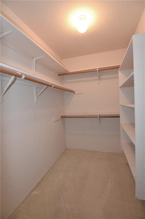 Building Photo - 3609 Ruby Red Dr