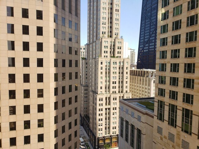 Building Photo - 100 E Walton St
