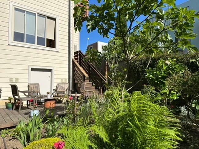 Building Photo - Epic REA- Serene 2 BR/1 BA Flat w/Private Deck & Yard in Lone Mountain