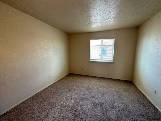 Building Photo - Two Bedroom, One Bathroom Apartment available for rent in Bloomfield