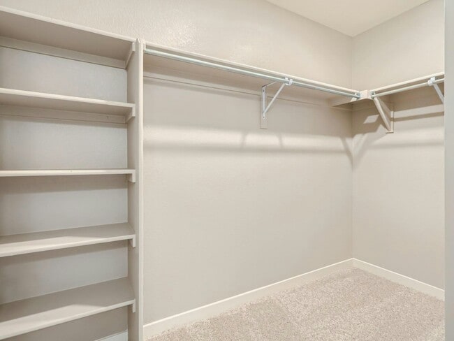 Building Photo - 17434 Red Cosmos Pt