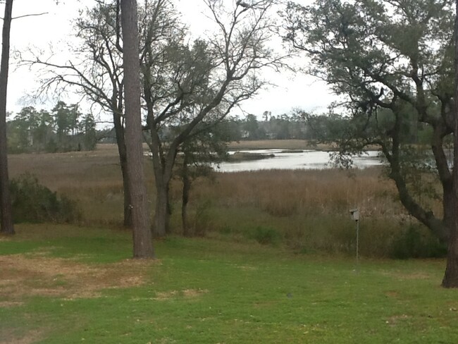 Building Photo - SEAGATE VILLAGE - Located off Greenville A...