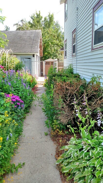 Sidewalk in yard - 2101 Ellis St