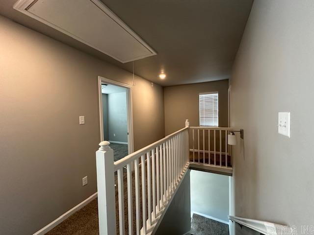 Building Photo - 3502 Terrace Hill Ct