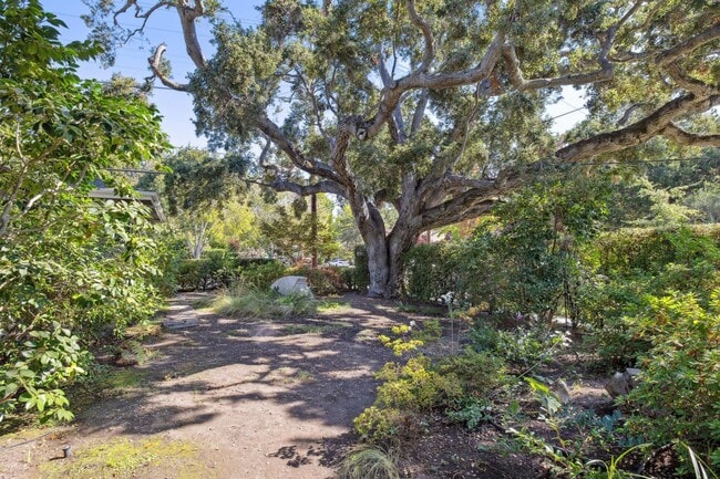 Building Photo - Charming 3-Bedroom Home with Office in desirable Old Palo Alto neighborhood Avail Feb 7th