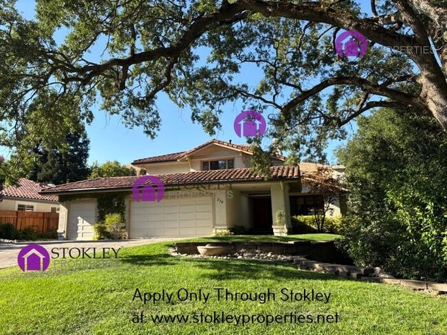 Primary Photo - 270 Live Oak Dr