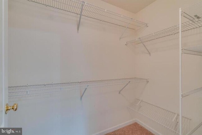 Building Photo - 20024 Northville Hills Terrace