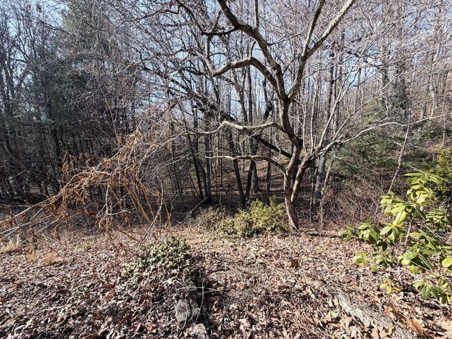 Building Photo - Spacious 1BR / 1BA Basement Apartment Just Minutes From Town