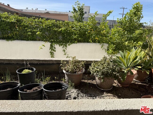 Building Photo - 10282 Tujunga Canyon Blvd