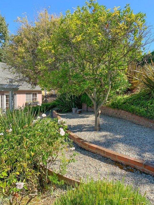 Building Photo - Beautiful 3 bed 1 bath house